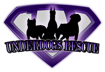 Underdogs Rescue Society